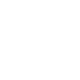 Logo Futuristic Store Fixtures Pte Ltd.