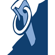 Logo Piton Investment Management LP
