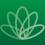 Logo Cairo Amman Bank (Palestine Branch)
