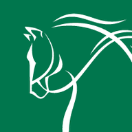 Logo Mori Capital Management Ltd.