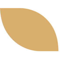 Logo Bevie Partners Ltd.