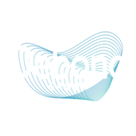 Logo Debono Group Holdings Co. Ltd.