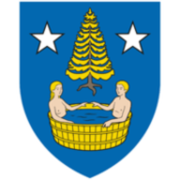 Logo City of Bagnes