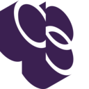 Logo Currie & Brown International Ltd.