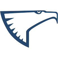 Logo Eagle & Wise Service SpA