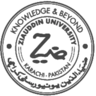 Logo Ziauddin University