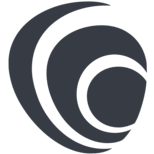 Logo ACNABIN Chartered Accountants