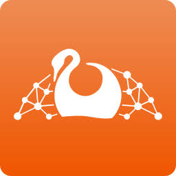Logo Cygnus Capital SRL