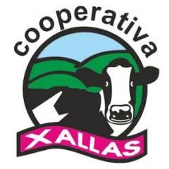 Logo Xallas SCG