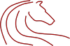 Logo Centaur Health Holdings, Inc.