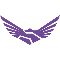 Logo Finsight Group, Inc.