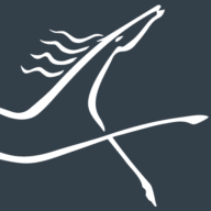 Logo Cantium LLC
