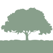 Logo Robur Capital NV