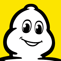 Logo Michelin Tyre Company South Africa Pty Ltd.