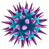Logo Gamma Vaccines Pty Ltd.