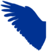 Logo UNH Rines Angel