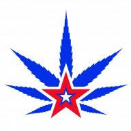Logo TNM News Corp.