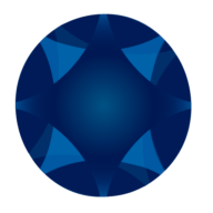 Logo ICON Medical Network LLC