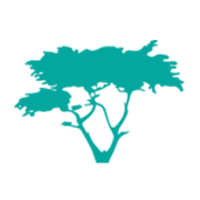 Logo Cypress Wealth Services LLC