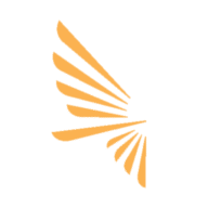 Logo Venturi Investment Partners