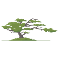 Logo AWI Salishan LLC