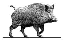 Logo Ebfinanz AG