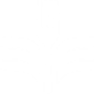 Logo Pegasus Foods, Inc.