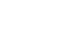 Logo Louisiana Tennis Association