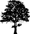 Logo Blue Ridge Conservancy