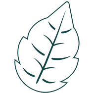 Logo Ipseity Inc