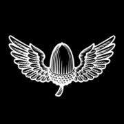 Logo Marchmont Ventures Group Ltd.