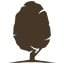 Logo Savini Tartufi SRL