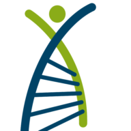 Logo Schaller-Nikolich Stiftung gGmbH