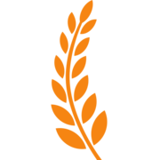 Logo Viresol Keményíto-és Alapanyaggyártó és Forgalmazó Kft.
