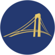 Logo Times Bridge