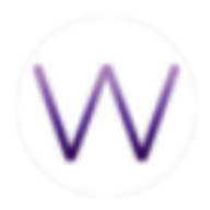 Logo Wise Ventures, LLC
