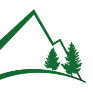 Logo Manager Analysis Services LLC