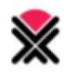 Logo Aurox Ltd.