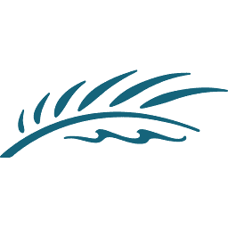Logo Discover The Palm Beaches
