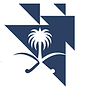 Logo National Center for Privatization (Saudi Arabia)