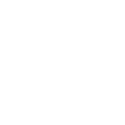 Logo ProStar Geocorp, Inc.