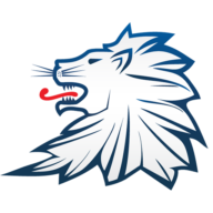Logo Family Office Club