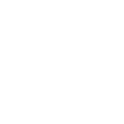 Logo Iotex