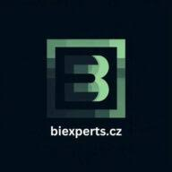 Logo BI Experts sro