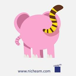 Logo Niche Asset Management Ltd.