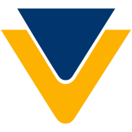 Logo Viewplus Ltd.