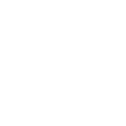 Logo Pixii AS