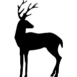 Logo Friendshop LLC