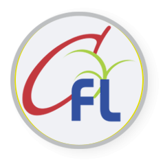 Logo Chintamani Finlease Ltd.