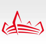 Logo Millennium Stadium Experience Ltd.